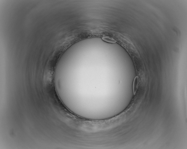 X0000112820033200908211009