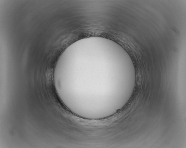 X0000112820034200908211009