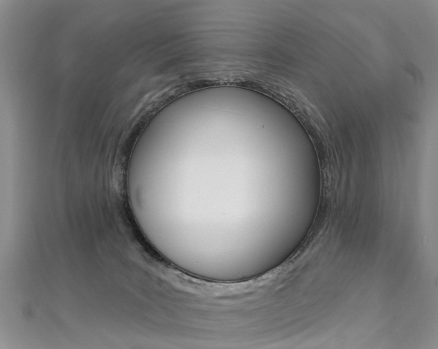 X0000112820035200908211009