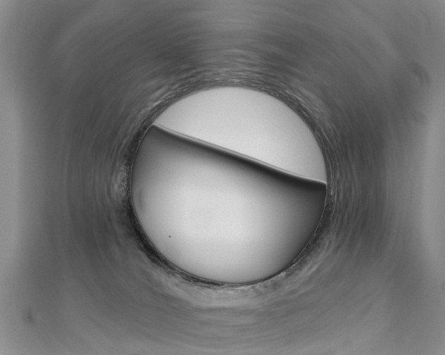 X0000112820036200908211009