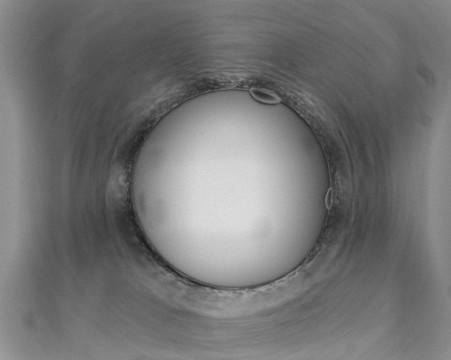 X0000112820037200908211009