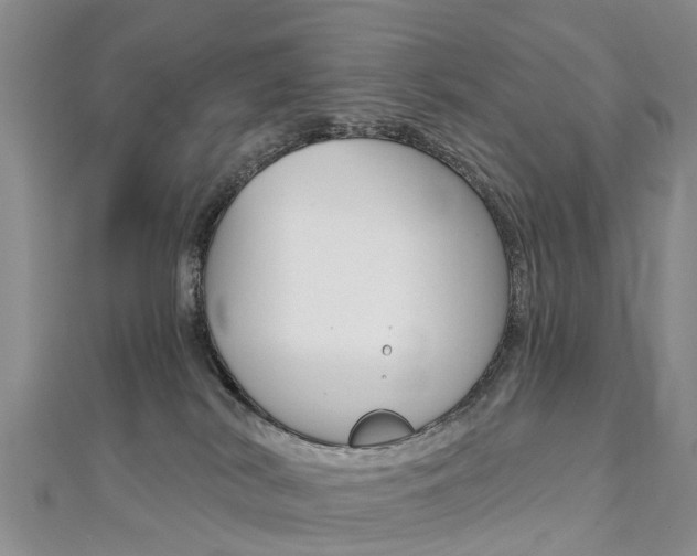 X0000112820038200908211009