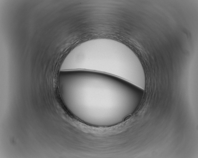 X0000112820039200908211009
