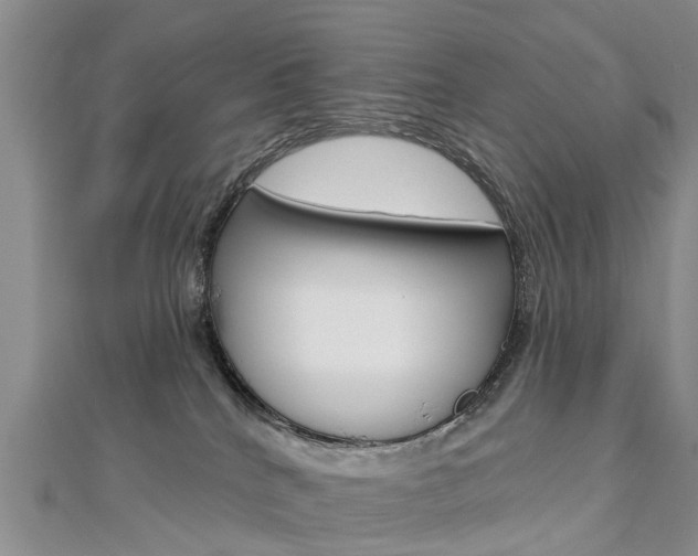 X0000112820040200908211009