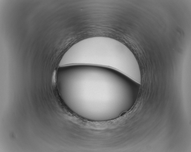 X0000112820041200908211009