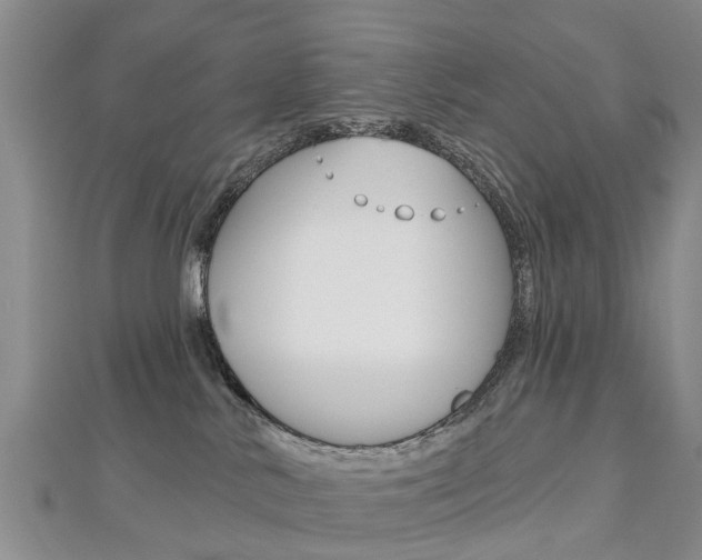 X0000112820042200908211009