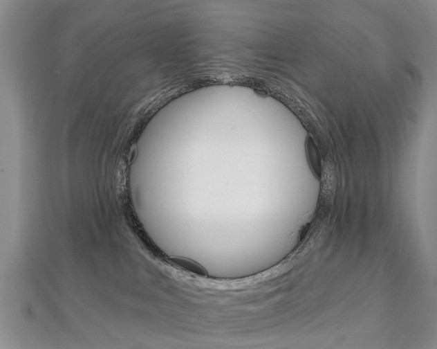 X0000112820043200908211009