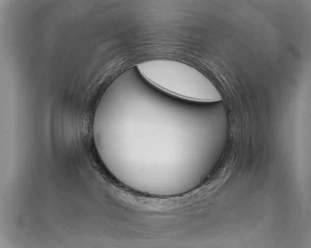 X0000112820044200908211009