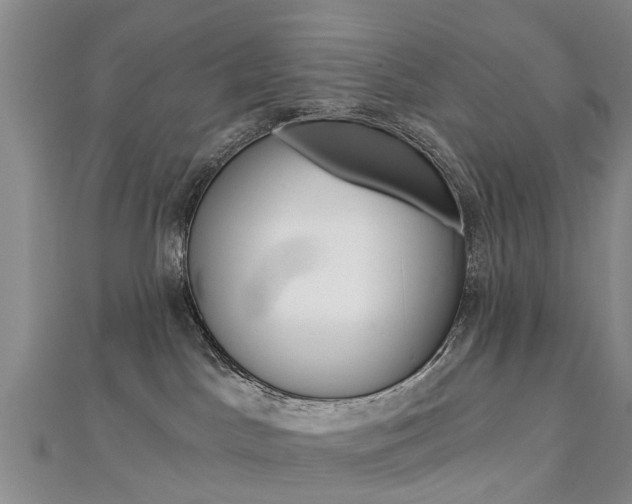 X0000112820045200908211009