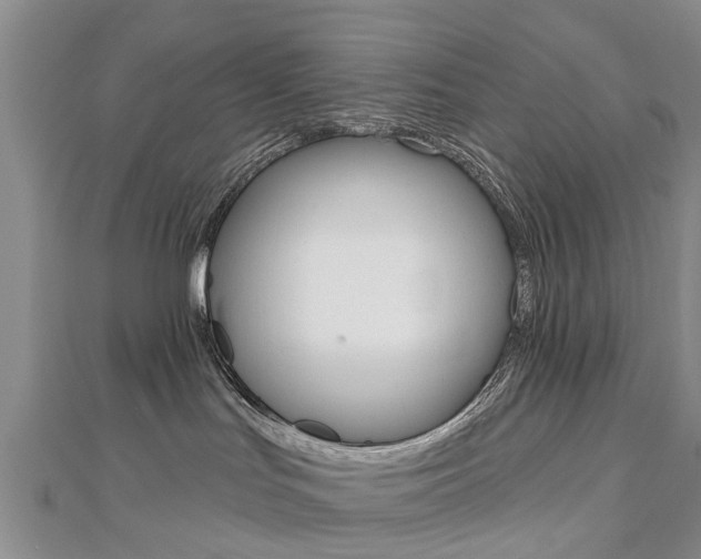 X0000112820047200908211009