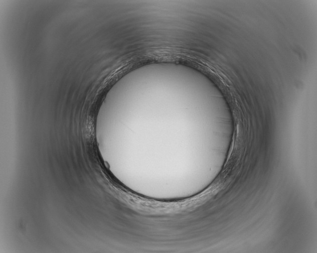 X0000112820048200908211009