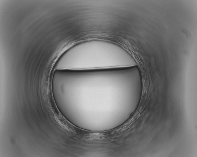 X0000112820050200908211008