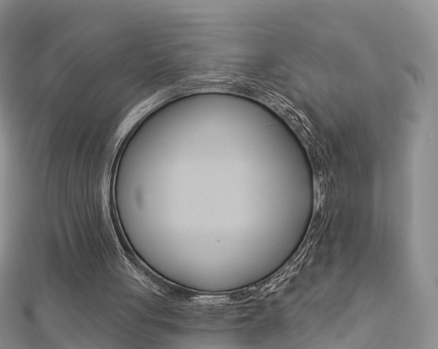 X0000112820051200908211008