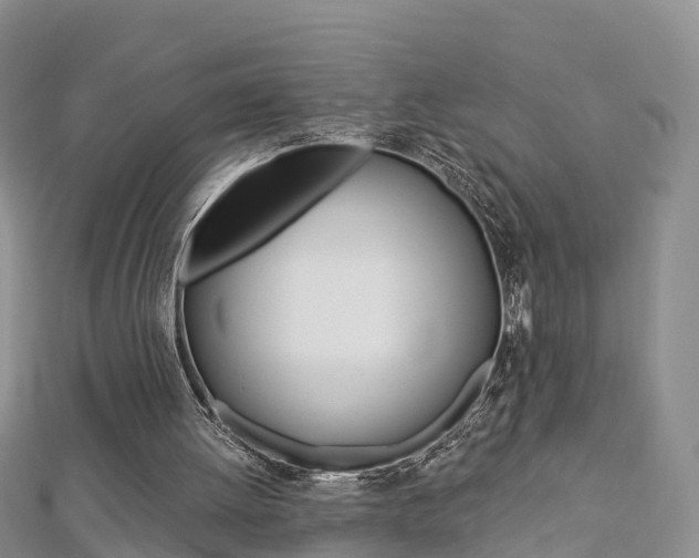 X0000112820052200908211008
