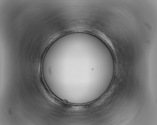 X0000112820057200908211008