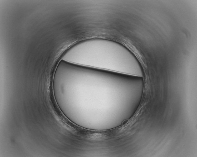 X0000112820058200908211008