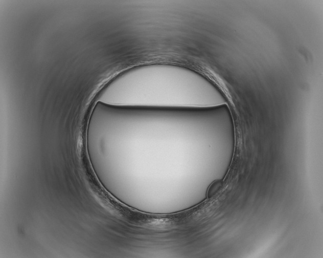 X0000112820059200908211009