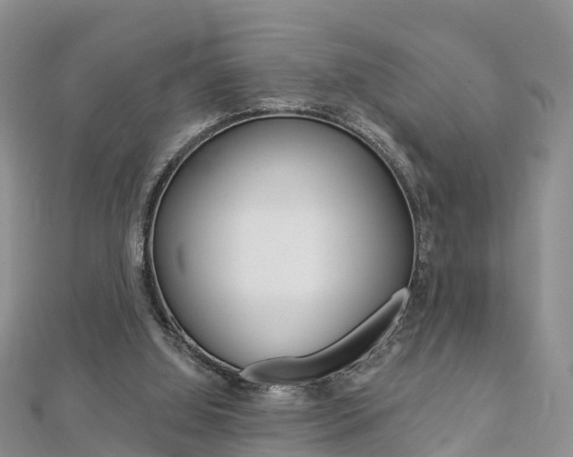 X0000112820060200908211009