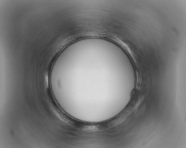 X0000112820061200908211009