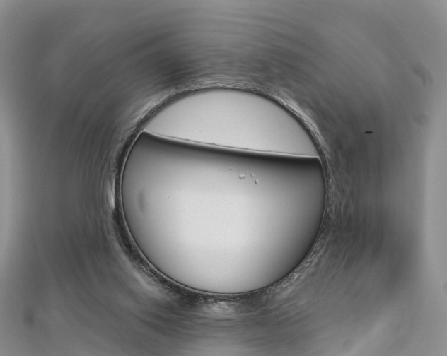 X0000112820062200908211009