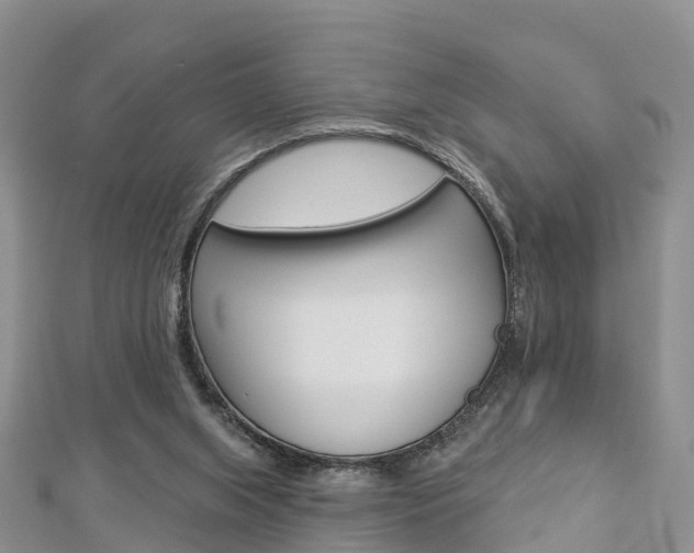 X0000112820063200908211009