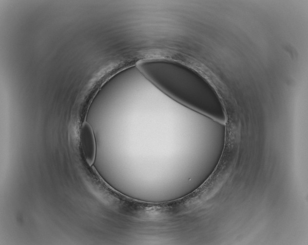 X0000112820064200908211009