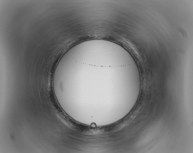 X0000112820065200908211009