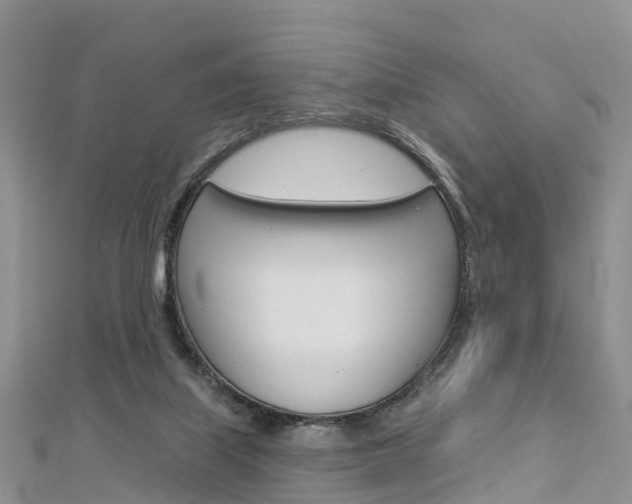 X0000112820067200908211009