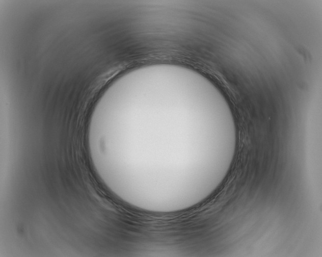 X0000112820068200908211009