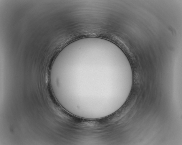 X0000112820069200908211009