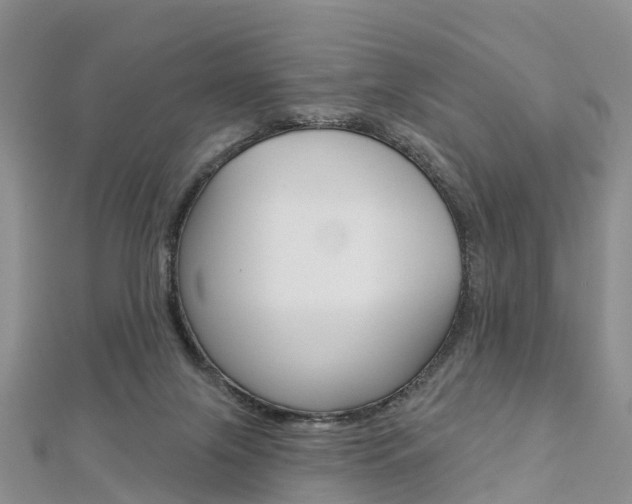 X0000112820071200908211009