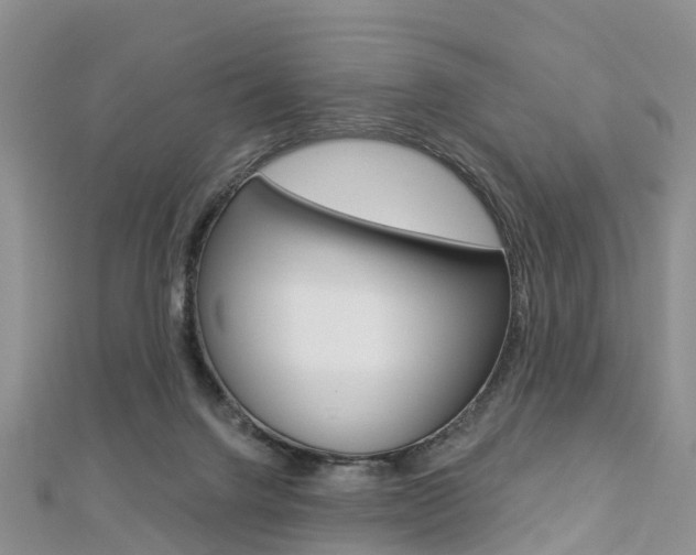 X0000112820072200908211009