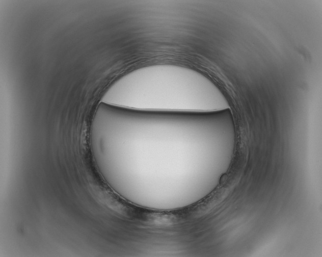 X0000112820073200908211009