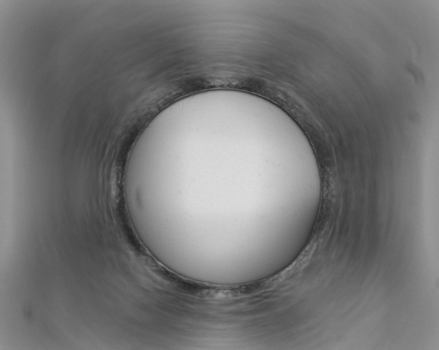 X0000112820074200908211009