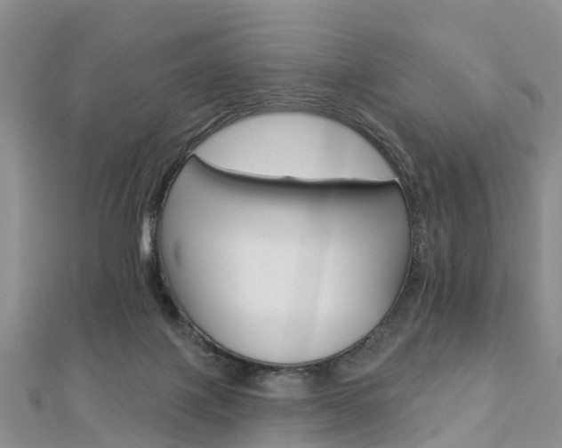 X0000112820075200908211009