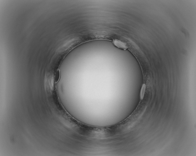 X0000112820076200908211009