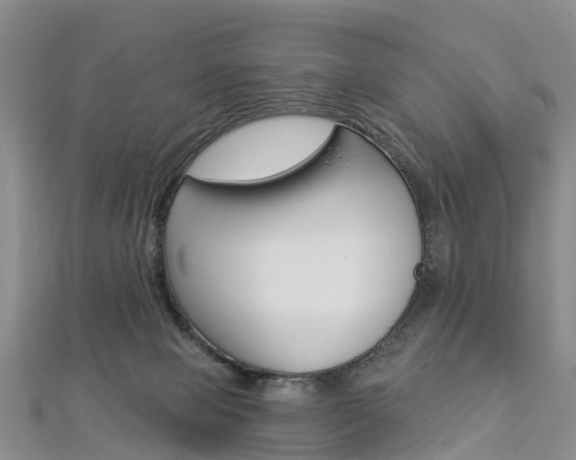 X0000112820077200908211009