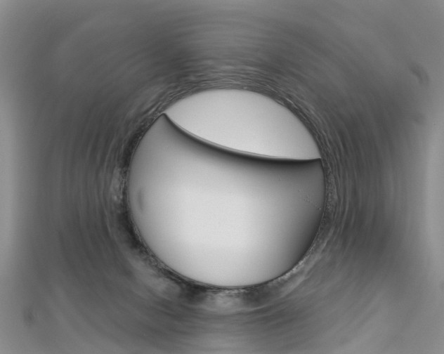 X0000112820078200908211009