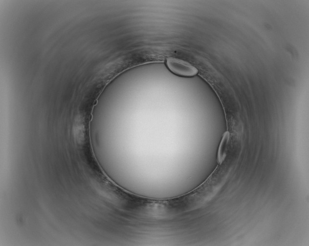 X0000112820080200908211009