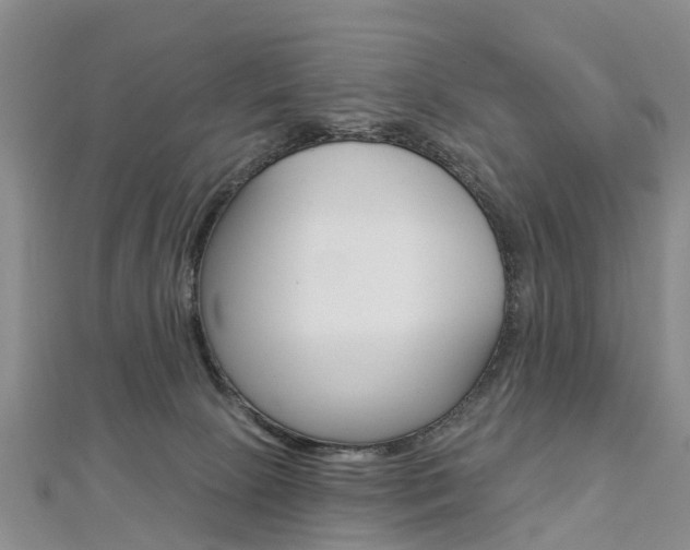 X0000112820081200908211009
