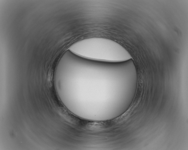 X0000112820082200908211009
