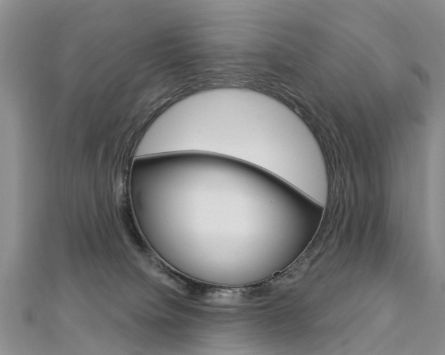 X0000112820084200908211009
