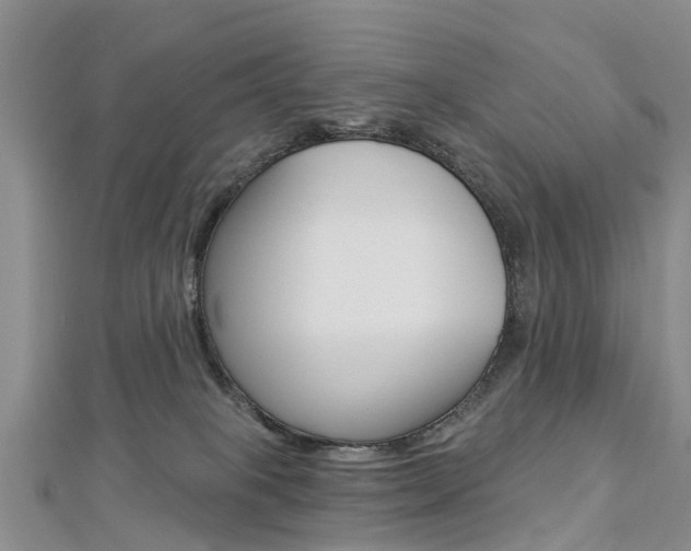 X0000112820085200908211009