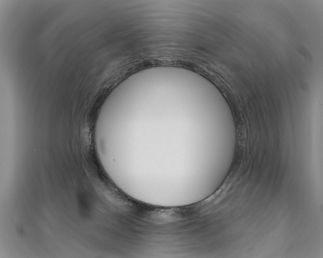 X0000112820086200908211009