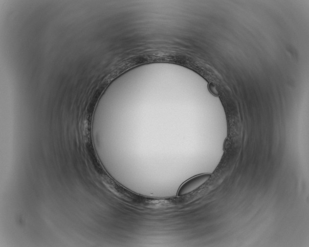 X0000112820087200908211009