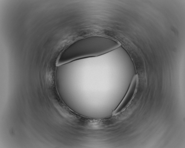 X0000112820088200908211009