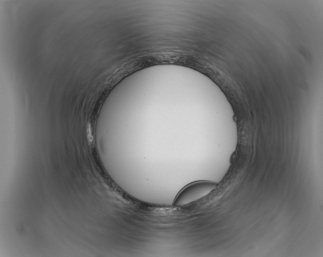 X0000112820089200908211009