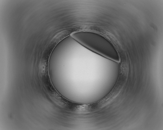X0000112820092200908211009