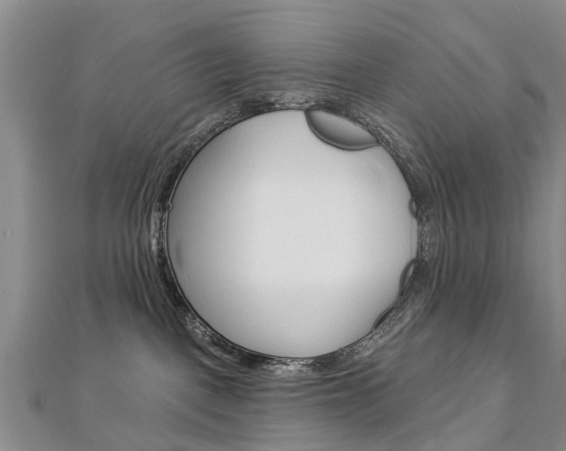 X0000112820093200908211009