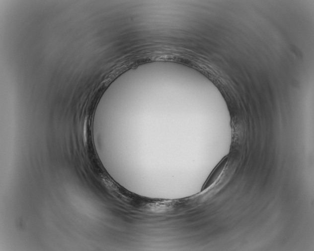 X0000112820094200908211009